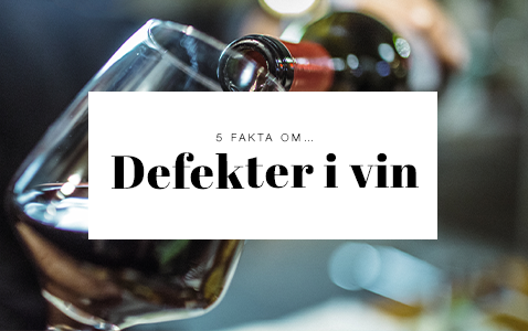 5 fakta om defekter – så vet du om vinet är dåligt..