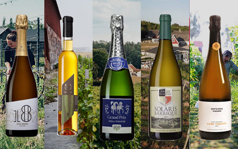 Upptäck svenska vingårdar – en helhetsupplevelse