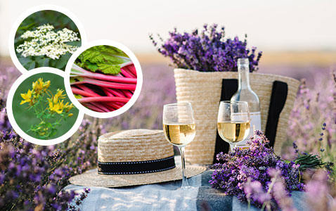 Så här gör du egna drycker av ätbara blommor och väx..