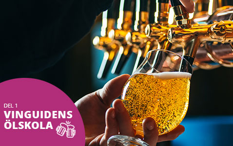 Vinguidens ölskola – allt om olika sorters öl