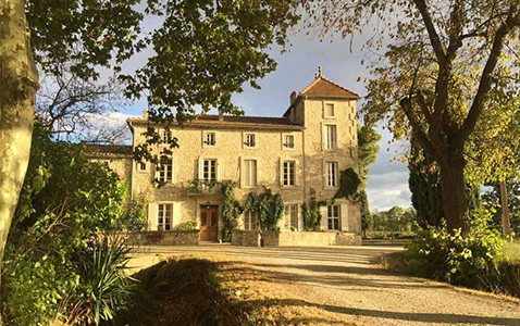 Hockeyproffset som blev vinbonde av en slump