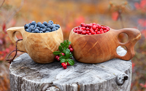Hemmagjorda frukt- och bärdrinkar som du måste prova