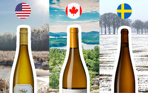 Upptäck kalla vinregioner och 3 spännande viner