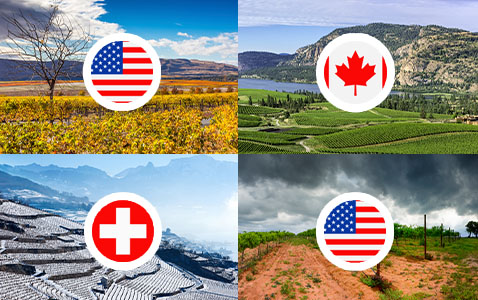 Vinregioner att hålla koll på 2024