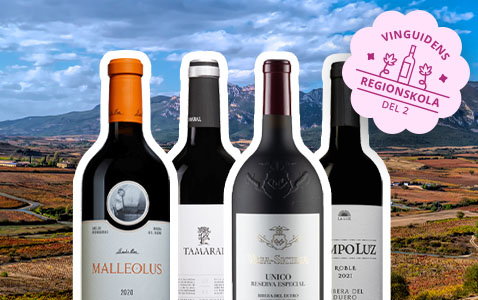 Vinguidens regionskola del 2 – Ribera del Duero i Sp..