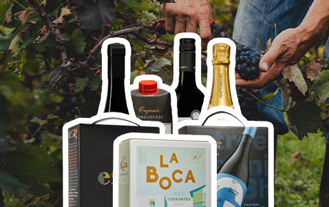 7 nya veganska viner på Systembolaget