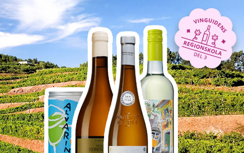 Regionskola del 3: Minho – där det gröna vinet växer..