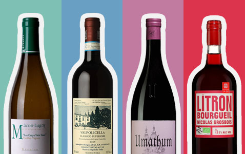 Vårens vintrender – ripasso och smörig chardonnay är..