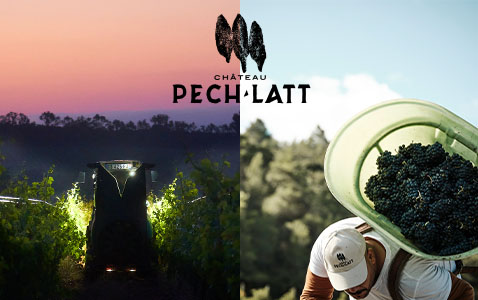 Château Pech-Latt – slottsvineri som brinner för eko..