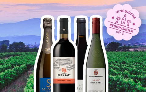 Regionskola del 5: Languedoc-Roussillon – från massp..