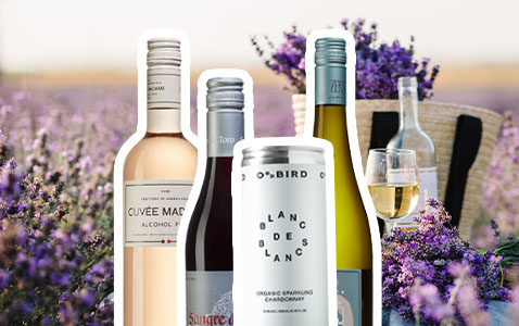 8 frågor och svar om alkoholfritt vin