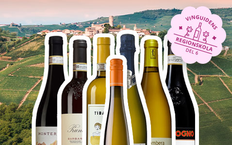 Regionskola del 6: Piemonte – där Nebbiolo är kung..