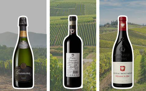 Trist på semestern? Besök en vingård!