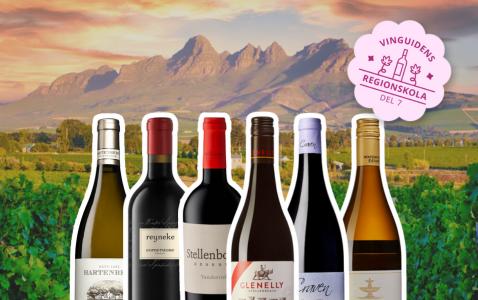 Regionskola del 7: Stellenbosch – maffiga rödviner i..