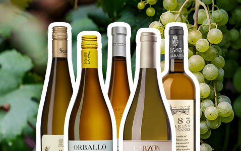 Allt om Albariño – superhet druva som gillar sva..