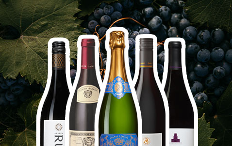 Allt om Pinot Noir – lika utmanande som eftertraktad..