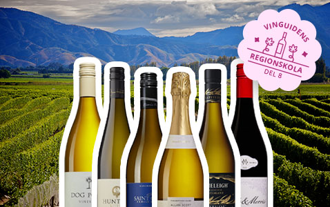 Regionskola del 8: Marlborough – Nya Zeelands viktig..