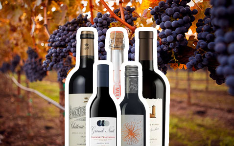 Allt om Cabernet Sauvignon – störst i vinvärlden