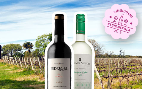 Regionskola del 9 Canelones – Uruguays viktigaste vi..