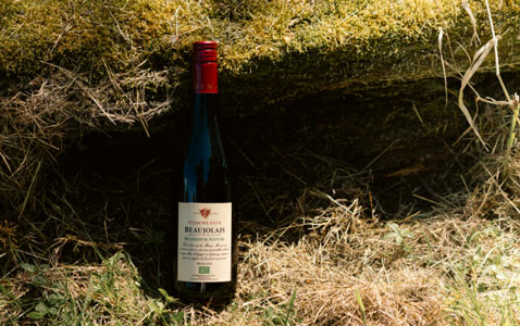 Ny ekologisk beaujolais till pangpris – Vinguiden ri..