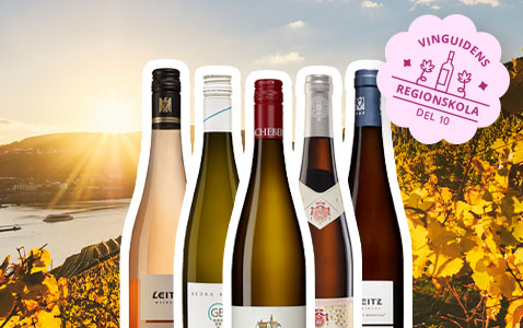 Regionskola del 10 Rheingau – Grand cru på tyska