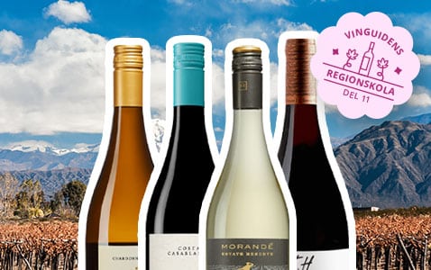 Regionskola del 11 Aconcagua – Chiles ikonregion