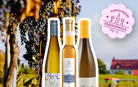 Regionskola del 12 – Ontario hittar sin identitet