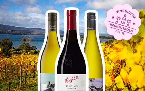 Regionskola del 13: Tasmanien – cool region med hett..