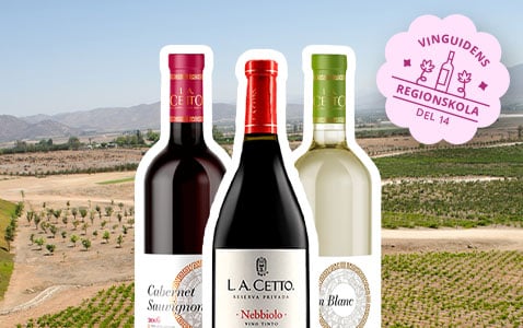 Regionskola del 14: Valle de Guadalupe – Mexikos dom..