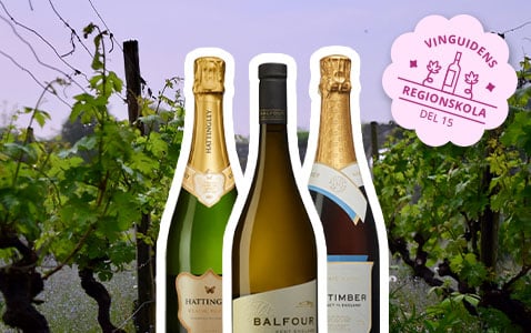 Regionskola del 15: Engelskt vin – inte bara bubbel..