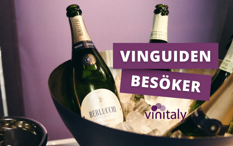 Vinguiden på plats: Vinitaly 2025 – Världens största..