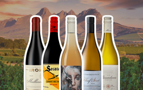Swartland – Sydafrikas mest kreativa vinregion