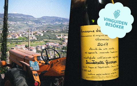 Exklusiv provning hos Giuseppe Quintarelli – legenda..