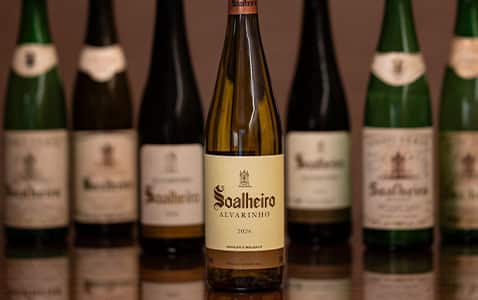 Möte med vinmakaren Asun Carballo på Soalheiro