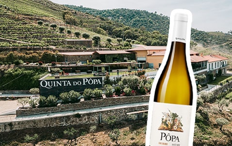 Hyllad vit nyhet – en fläkt från norra Portugal