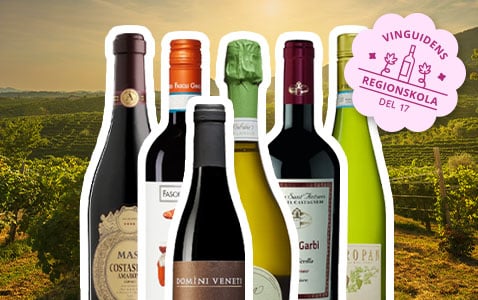 Regionskola del 17 Veneto – en italiensk gigant