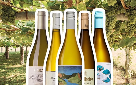 Trendiga albariño – 5 läskande tips