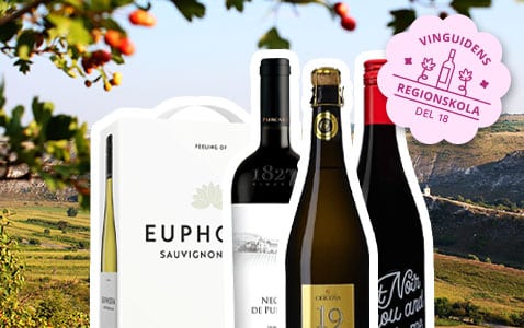 Moldavien – dold vinskatt med unika druvor