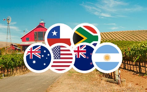 Nya världens viner – finns de?