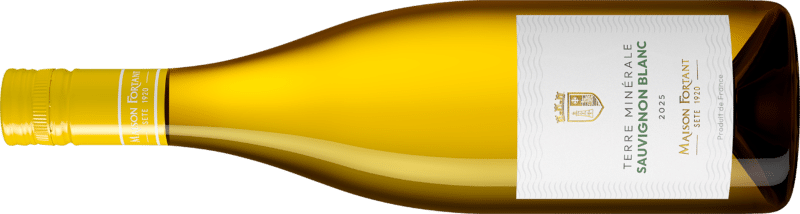 Terre Minéral Sauvignon Blanc Maison Fortant